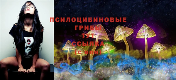 СК Алексеевка