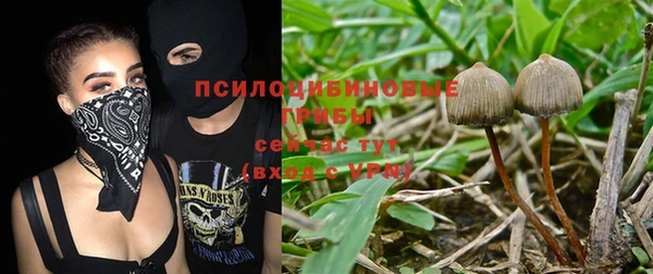 наркотики Алексин